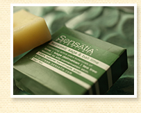 SensAtiA (�Z���Z�C�V��)