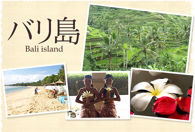 バリ島について