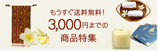 �����������������I3000�~�܂ł̏��i���W