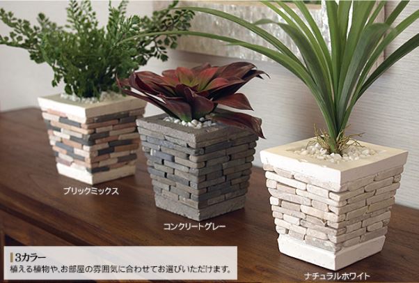 観葉植物 鉢 オススメ