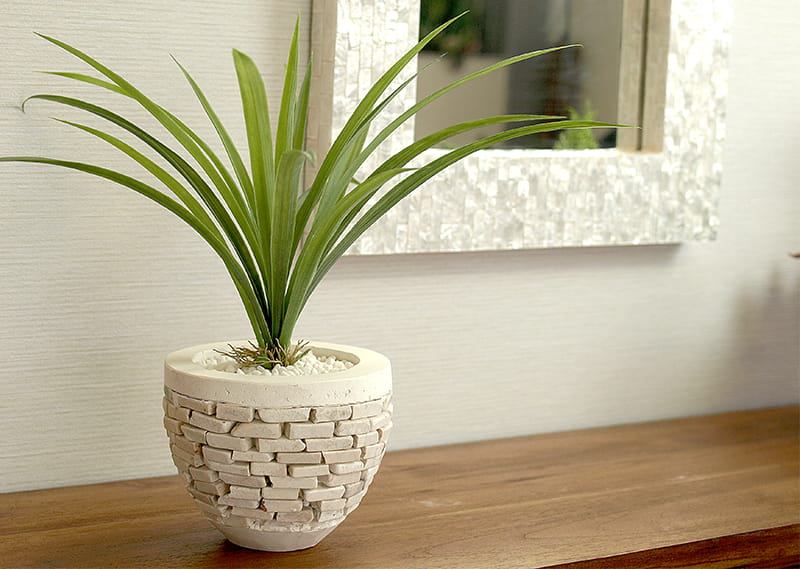 絶賛 バリ風 アジアンガーデニング植物用の小さめ植木鉢 Cocobariコラム
