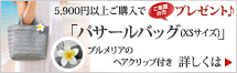 �ѥ�����Хå�(XS)�ץ쥼���