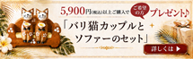 �Х�ǭ���åץ�ȥ��ե����Υ��åȥץ쥼���