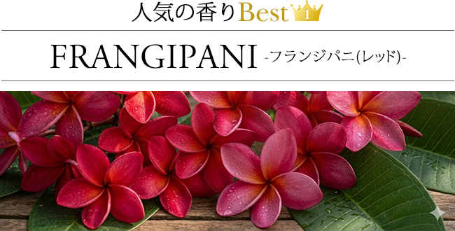 ���[�h�f�B�t���[�U�[ �t�����W�p�j(�v�������A)(���b�h)