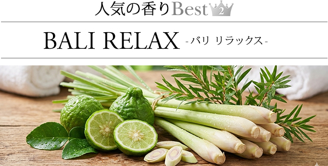 ���[�h�f�B�t���[�U�[ �o�������b�N�X