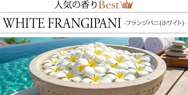 ���[�h�f�B�t���[�U�[ �t�����W�p�j(�z���C�g)