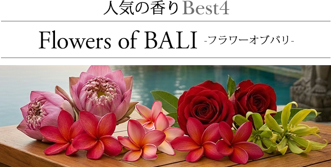 ���[�h�f�B�t���[�U�[ �t�����[�I�u�o��