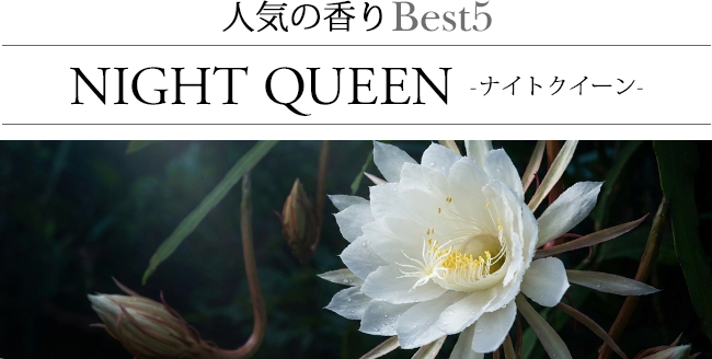 ���[�h�f�B�t���[�U�[ �i�C�g�N�C�[��
