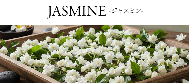 ���[�h�f�B�t���[�U�[ �W���X�~��