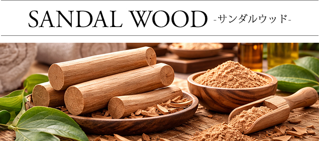 ���[�h�f�B�t���[�U�[ �T���_���E�b�h