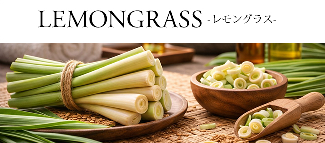 ���[�h�f�B�t���[�U�[ �������O���X