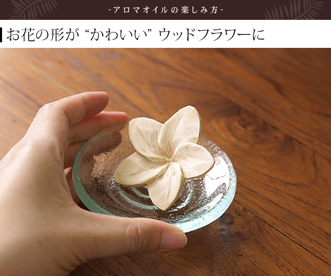 �A���}�I�C�� �A���}�E�b�h