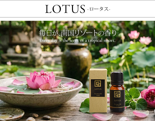 �A���}�I�C�� ���[�^�X