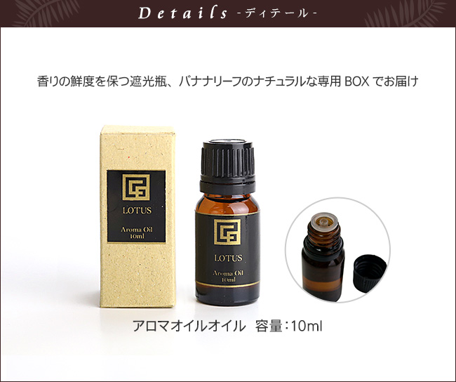 �A���}�I�C�� �A�W�A��