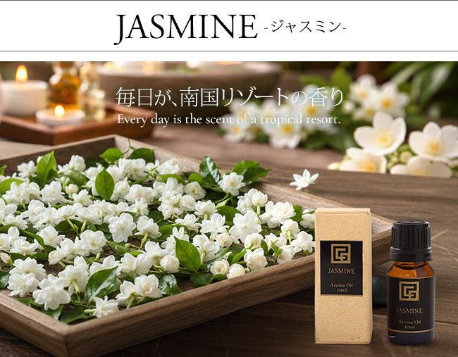 �A���}�I�C�� �W���X�~��