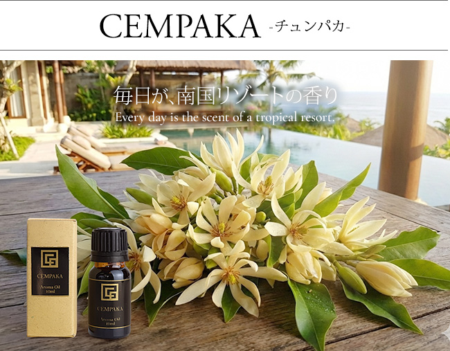 �A���}�I�C�� �`�����p�J