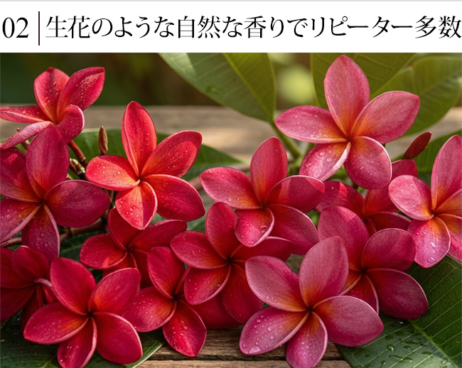 ���b�h �t�����W�p�j(�v�������A)�̃A���}�I�C��