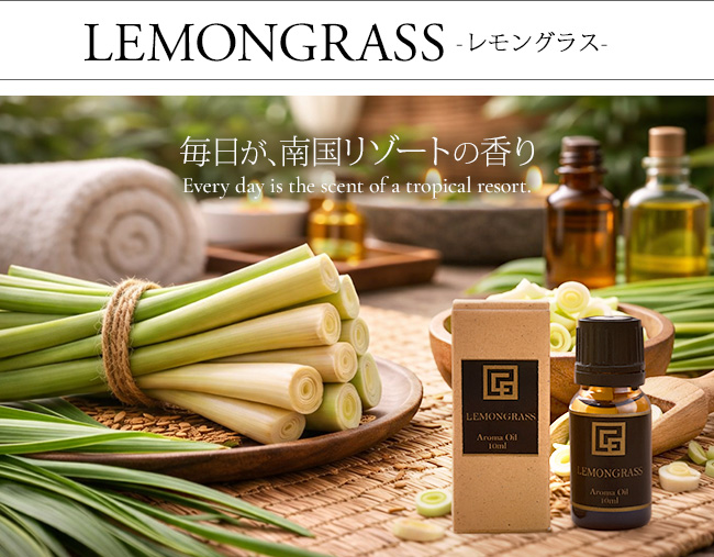 �A���}�I�C�� �������O���X