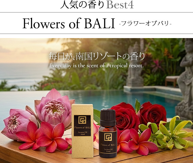 �A���}�I�C�� �t�����[�I�u�o��