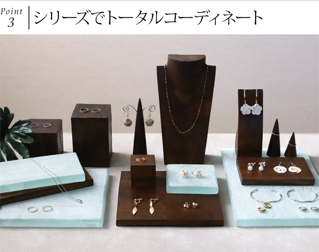 �A�N�Z�T���[����� �Y��