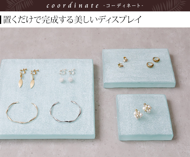 �A�N�Z�T���[ �f�B�X�v���C ��