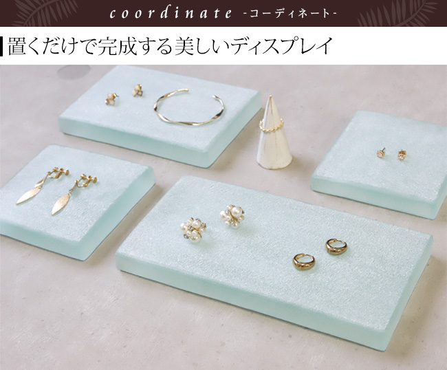 �A�N�Z�T���[ �f�B�X�v���C ��