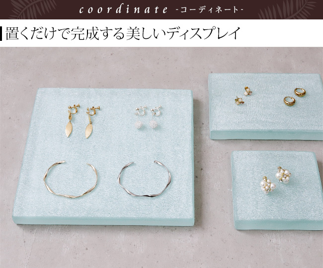 �A�N�Z�T���[ �f�B�X�v���C ��