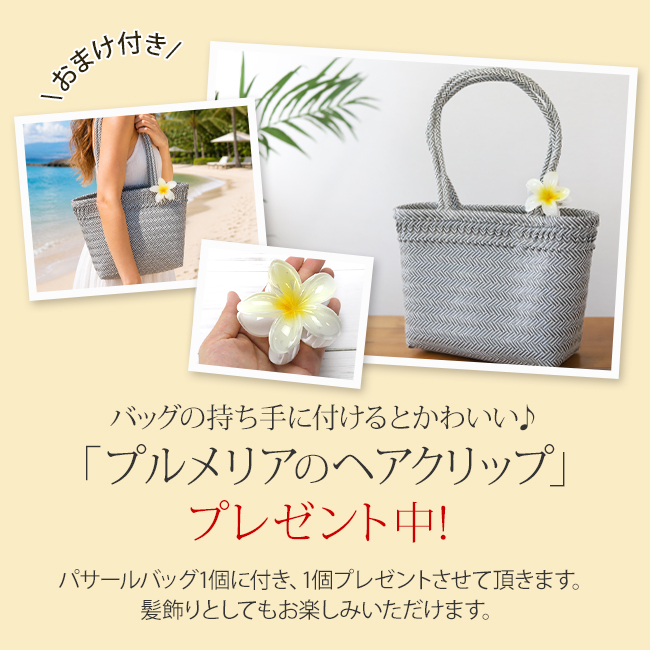 �p�T�[���o�b�O���w���Ńv�������A�̃w�A�N���b�v���v���[���g