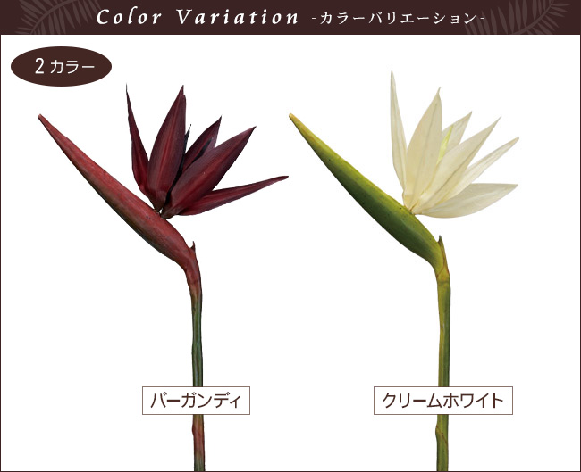 Xg`A@o[KfB@N[zCg