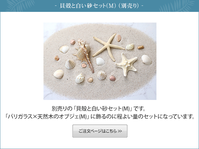 別売りの貝殻と白い砂のセット(M) の販売ページへ