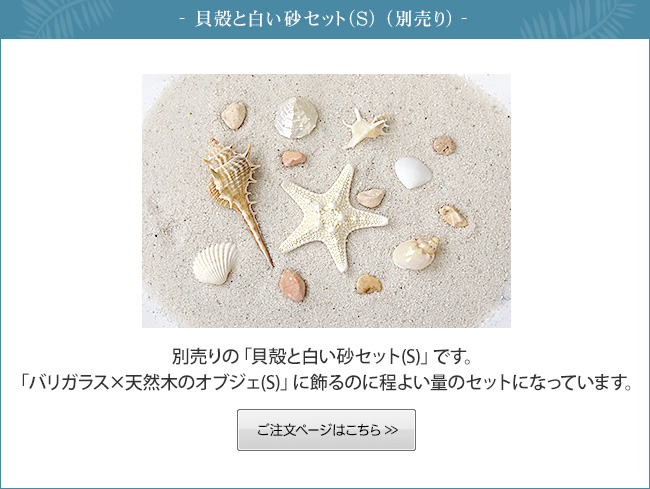 別売りの貝殻と白い砂のセット(M) の販売ページへ