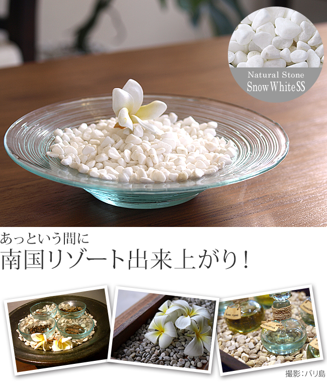 化粧石の白 インテリア用の小石 の通販 観葉植物にも最適 Cocobari