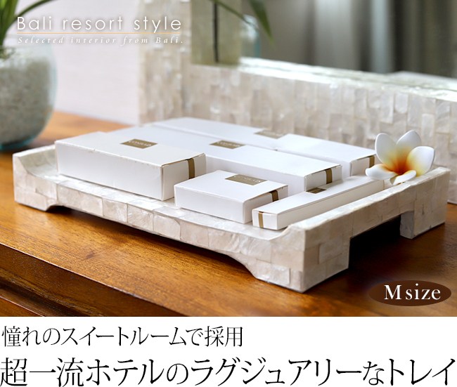 õAjeBgC(VF)SUITE ROOM(M)(28~18~4cm)̔̔iʔ́j