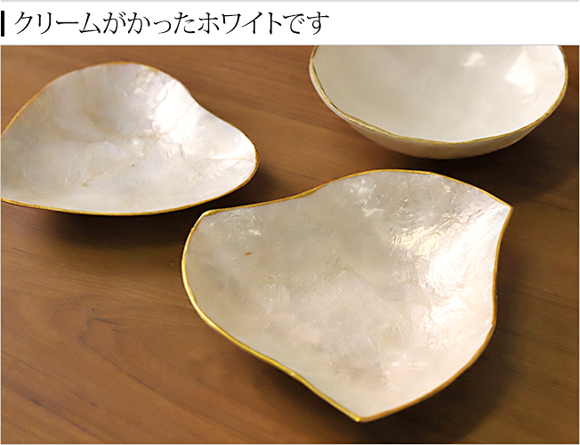 �f�B�e�[��