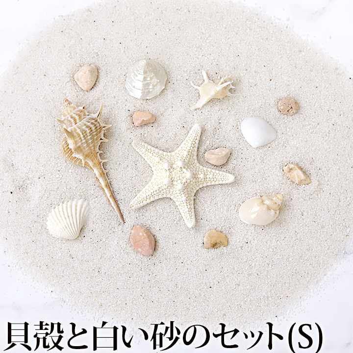 貝殻と白い砂のセット(S)