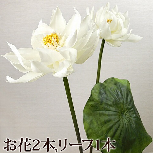 リアル造花 アーティフィシャルフラワー 蓮 ロータス ホワイト お花2本 リーフ1本 通販 Cocobari リアル造花 アーティフィシャルフラワー 蓮 ロータス ホワイト お花2本 リーフ1本 通販 Cocobari