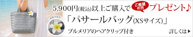 パサールバッグプレゼント